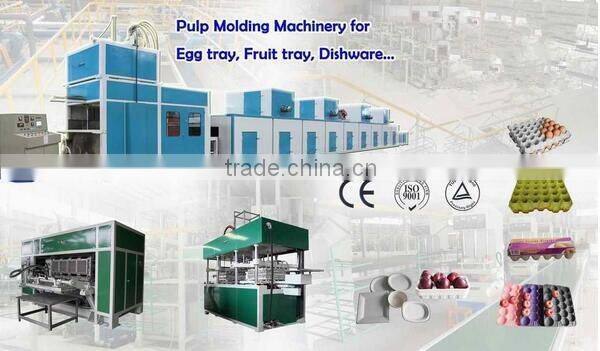 Full automatic paper pulp moulding machine/Egg tray production equipment