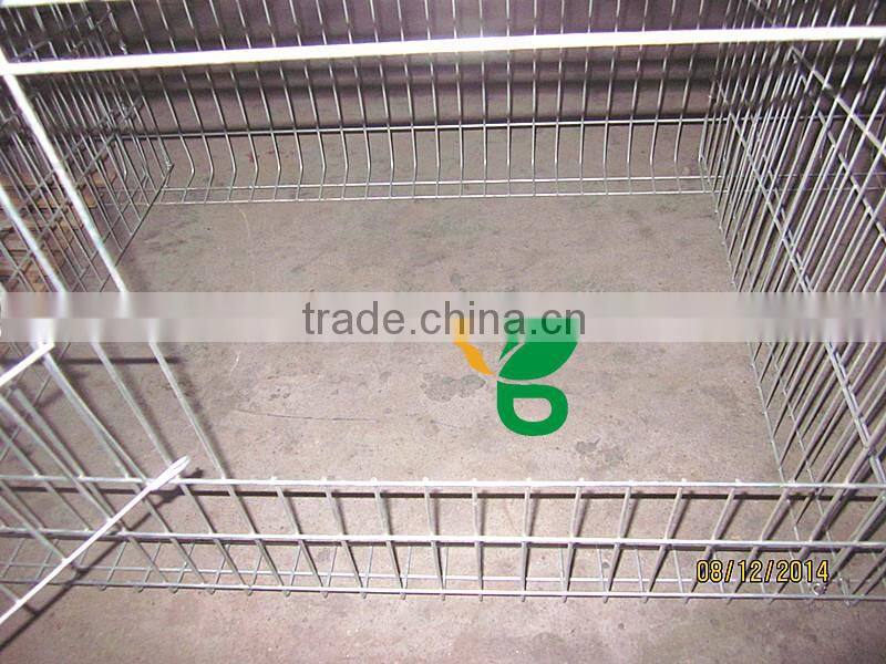 galvanized welded steel wire mesh rabbit cages
