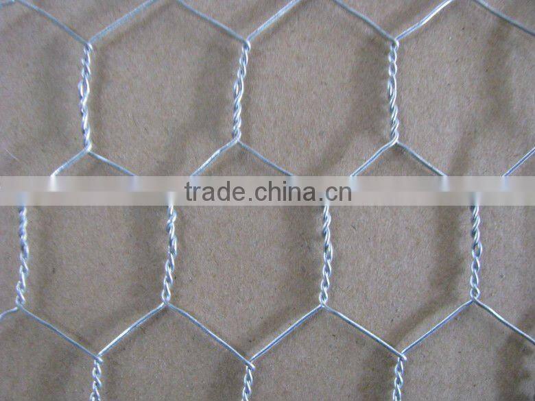Anping PVC coated Hexagnal Wire Mesh