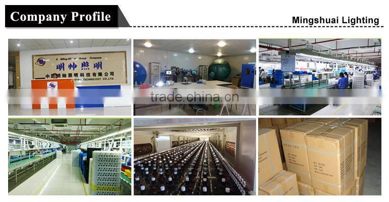 Haining Mingshuai Vintage led filament bulb C35 with plastic light source 2W E14