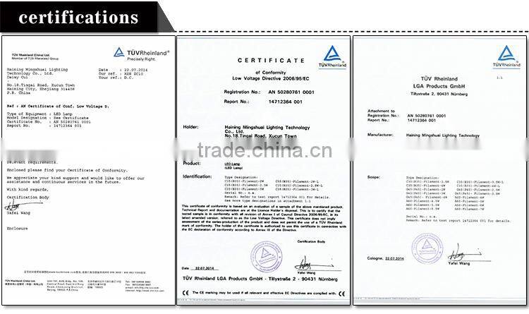 2015 Hot sale LED light led Filament Bulb Dimmable 2w 4w 6W 8W led filament g125 G95