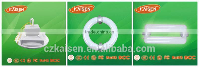 300W China style LVD energy saving induction circular tube with ballast