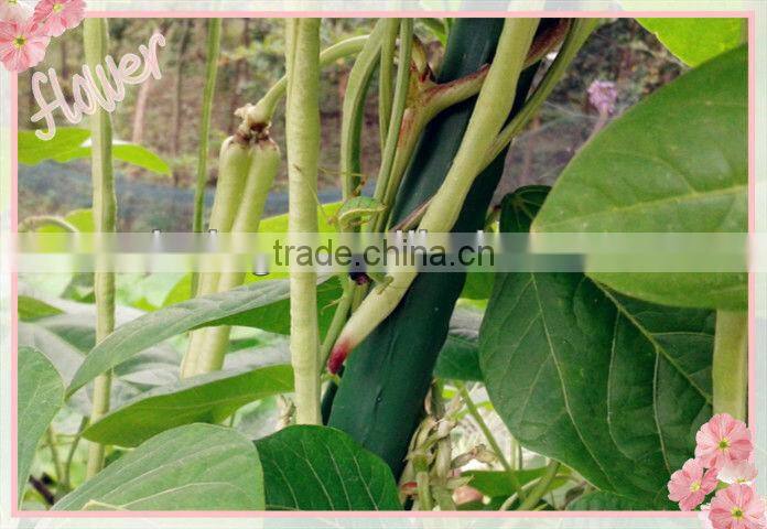 plastic coated steel decorative garden stakes