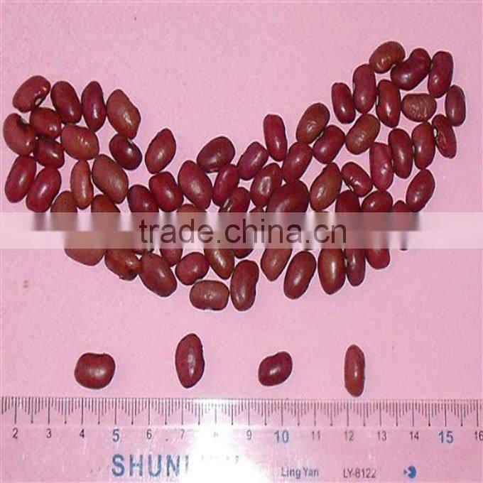 all size new crop kidney bean 2010