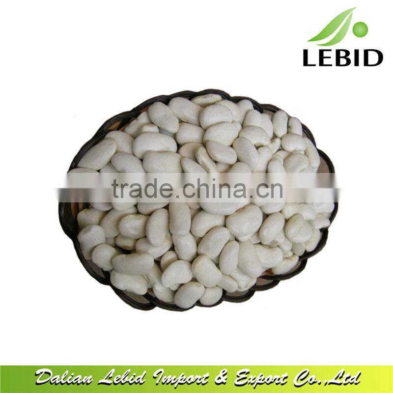 New Crop Large White Kidney Beans/Bean food