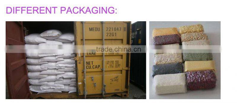 Peeled green mung beans buyer