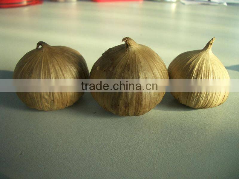 best offer Korean Japanese popular clove black garlic