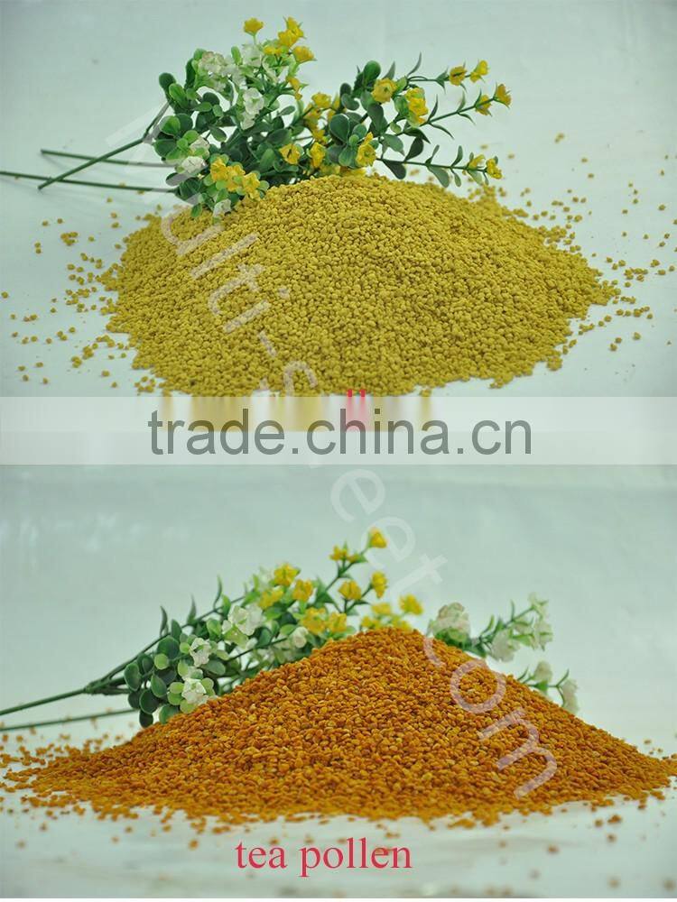 Wholesale bee bread bulk bee pollen powder with best price