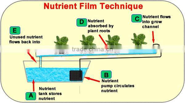 Most Popular Hydroponic NFT Channel pvc pipes
