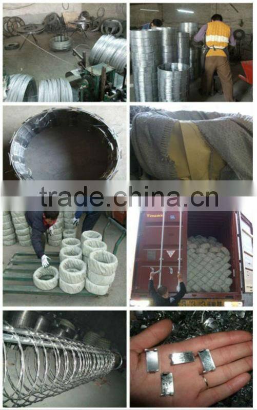 Anti corrosion fake razor wire
