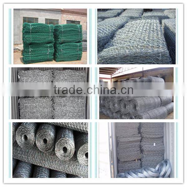 Hepeng company gabion wire mesh/Hexagonal wire netting