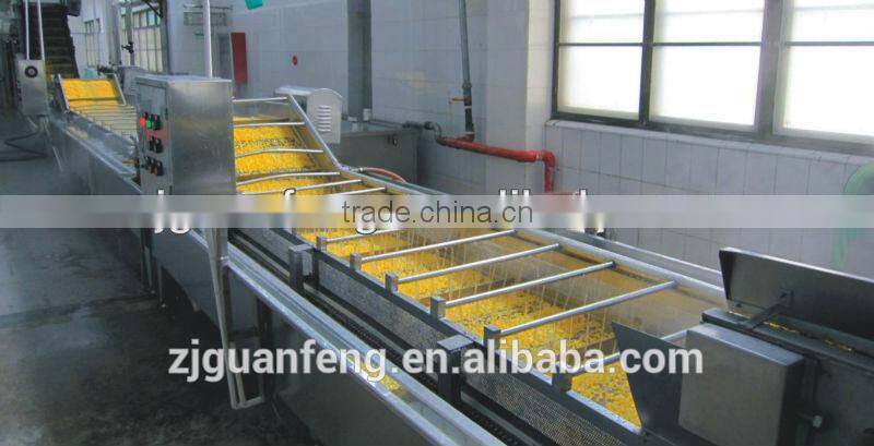fruits and vegetables quick freezing production processing line