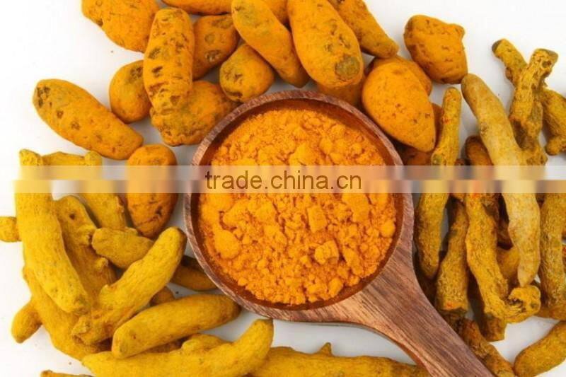 Turmeric / Curcuma longa Multiple layer continuous type mesh belt dryer