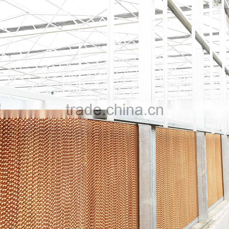 The Newest and Cheapest Poultry Farm and Greenhouse Climate-Control Evaporative Honey Comb Cooling Pad