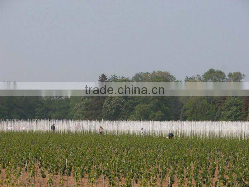 Flexible durable 20+ years fiberglass flower stake,fiberglass flower stick