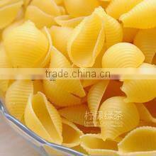Automatic macaroni italy pasta/spaghetti pasta machine 86-15553158922 skype:sherry1017929