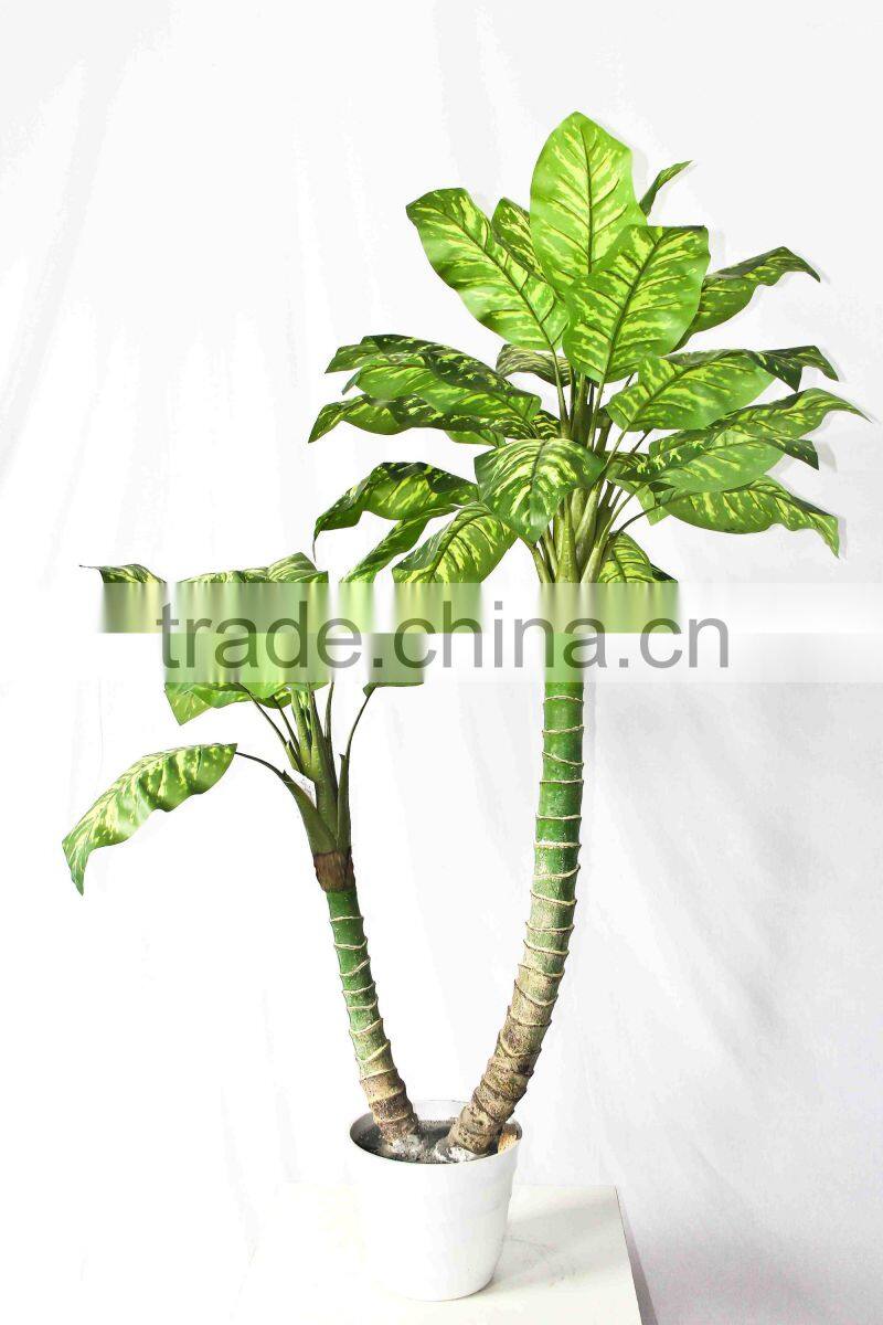 Wholesale indoor use bonsai