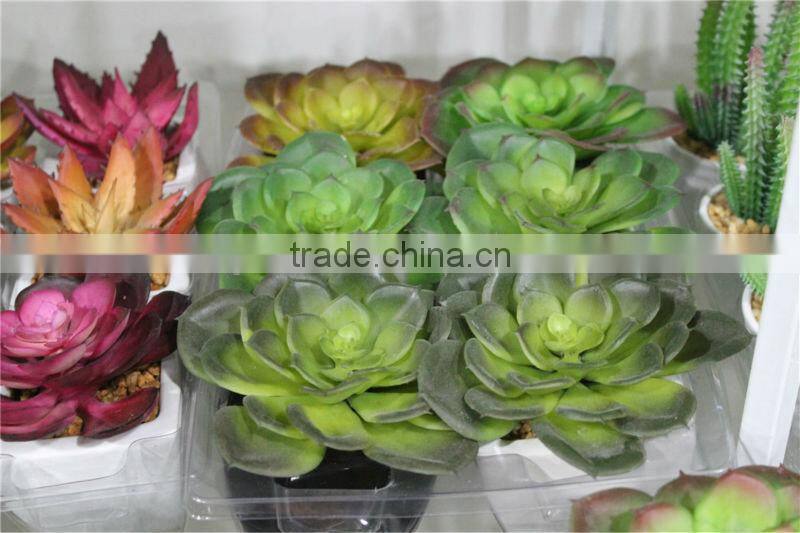 artificial mini succulents