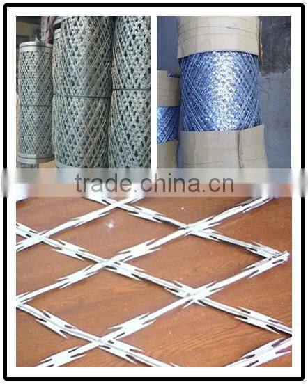 Alibaba .com ! hot selling in Brazil razor barbed wire used in pasture