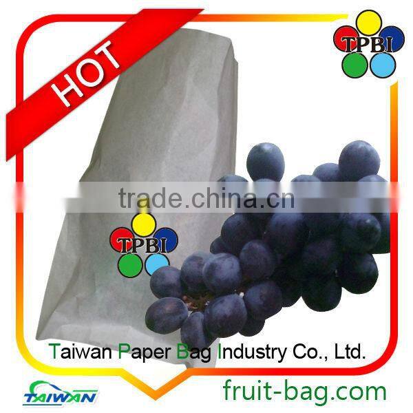 mango growing bag mango fruit branded paper bag mango growing bag