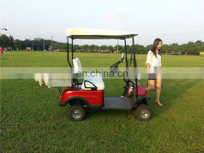Curtis controller mini 2 seater golf cart