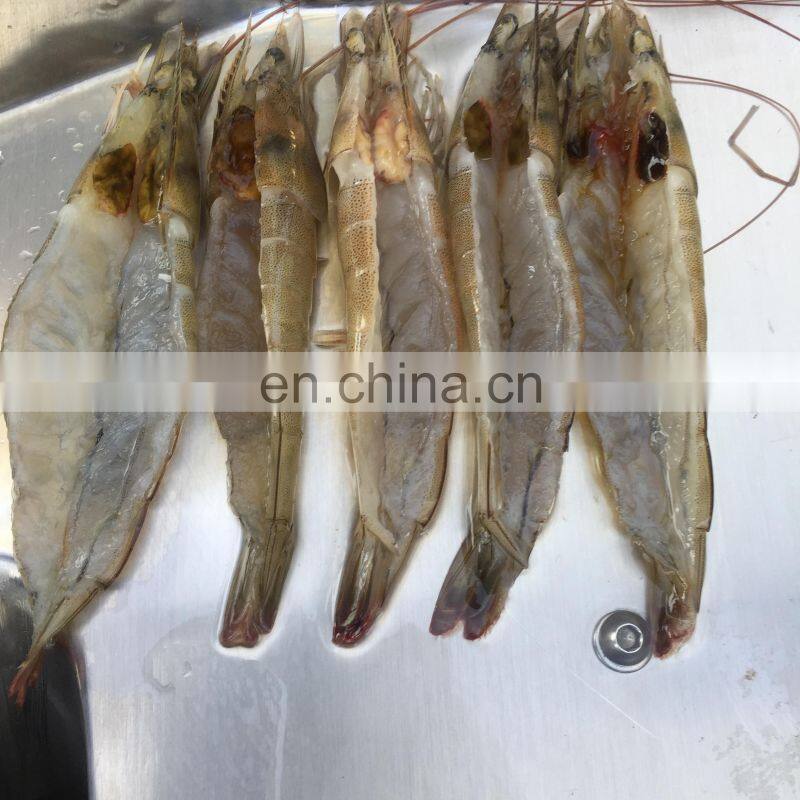 DARIBO Commercial Shrimp Skin Cutting Machine with Big Capacity,Prawn Back Opening Cutter