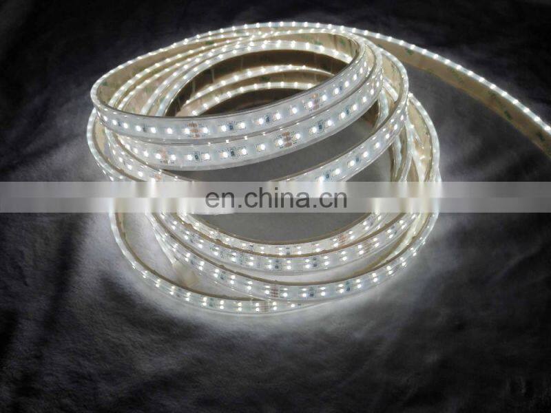 Underwater led strip light ip68 tow color led 3014 224leds CCT temperature color change tape