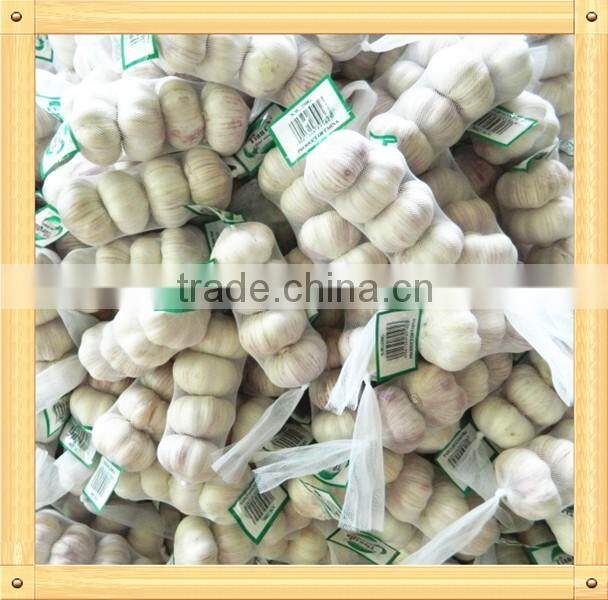 2016 new crop fresh garlic in 10kg mesh bag and carton China export garlic