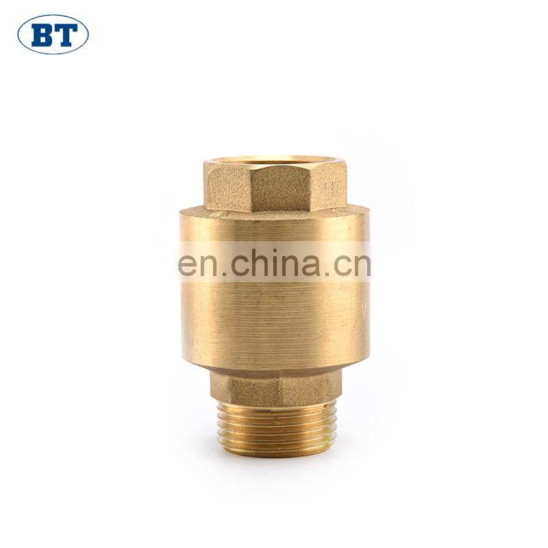 BT5011 Euro type brass check valves with brass stem / ss spring