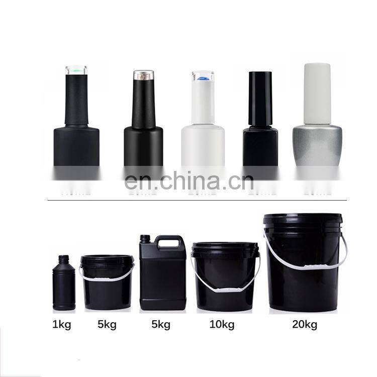 2019 RNK supplier OEM /ODM gel polish