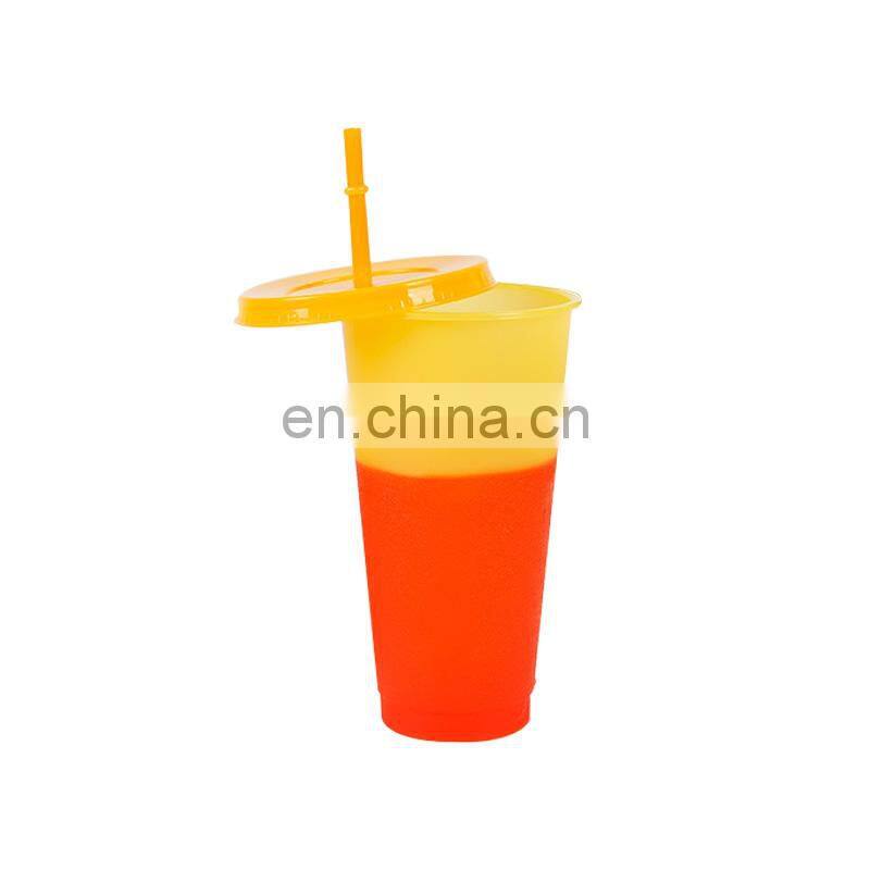 Reusable Plastic Color Changing Tumbler Cups Christmas Magic Bulk Plastic Mugs with Straw