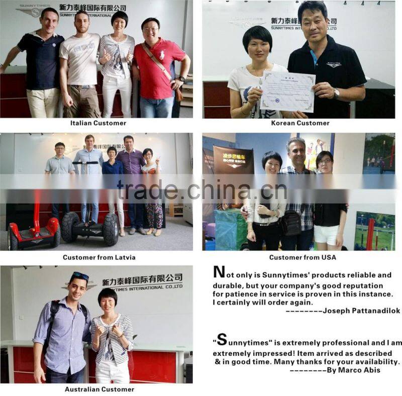 Sunnytimes-Shredder gas scooter 2015