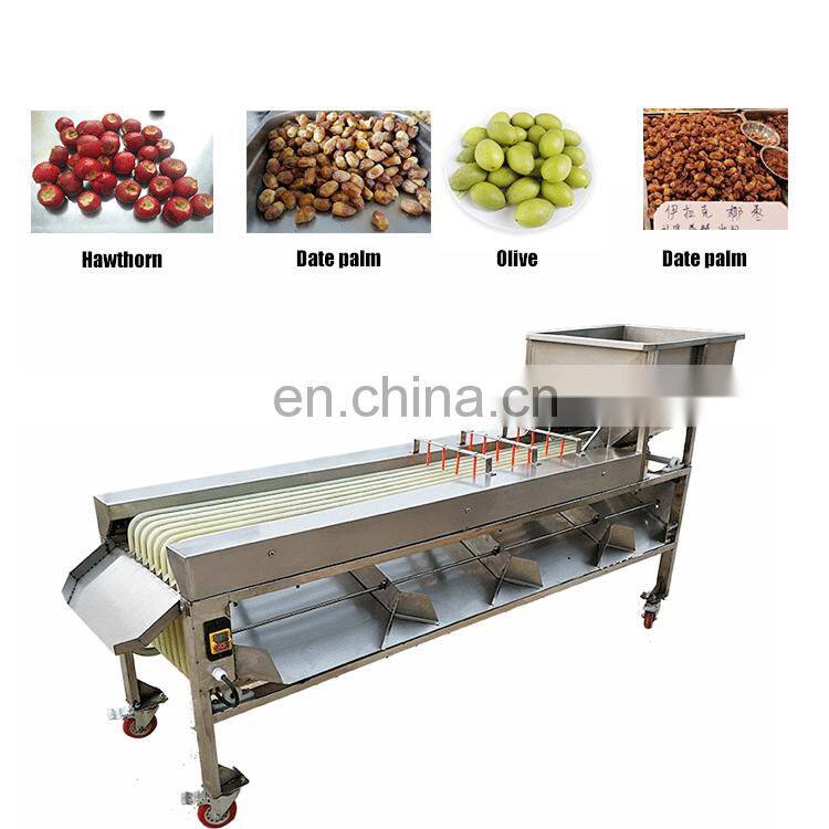 Multi-function Apple Potato tomato round vegetable GJFJ500 orbital type date sorting Sorter machine