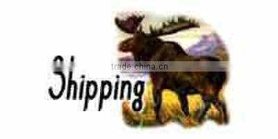 Archery hunting broadheads arrowheds Linkboy Shocker 100gr Small Game Broadhead