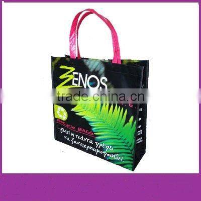 New designed pp woven shopping bag