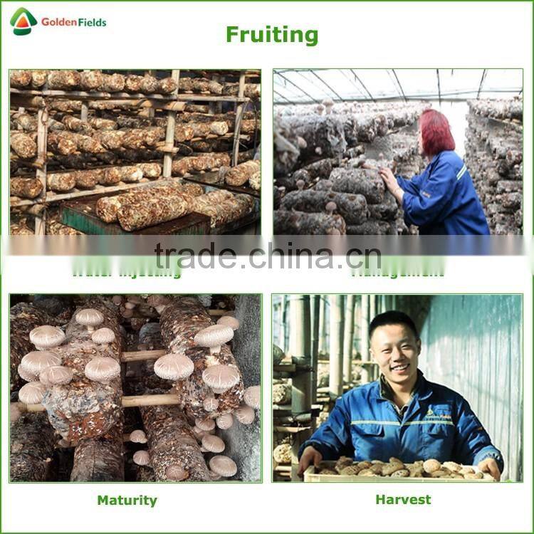 Black Chinese Mushrooms,Shitake Mushrooms Health Benefits,Growing Shitake Mushrooms