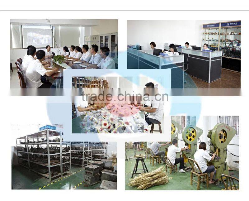 LW26-20/2DS High quality dc voltage automatic electrical changeover rotary cam switch 2 poles 20A sliver point contacts