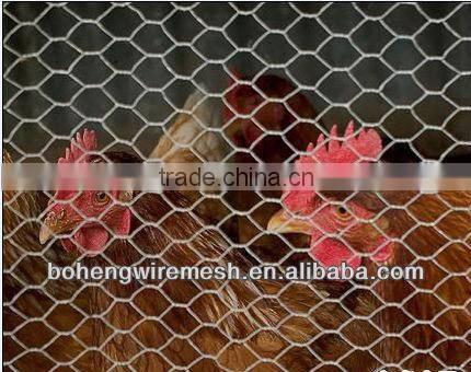 PVC HEXAGONAL WIRE MESH NETTING