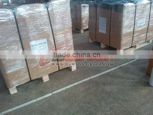 DS040 G80 Swivel Hook With Latch