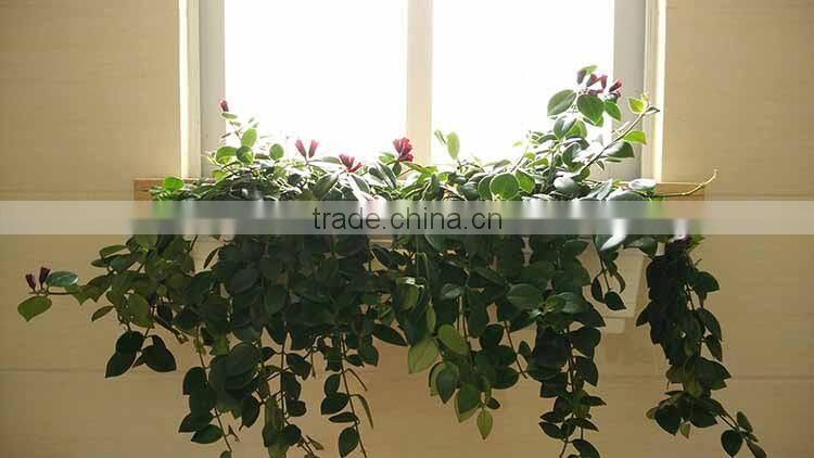 Brackets with rings for installing unlimited window boxes