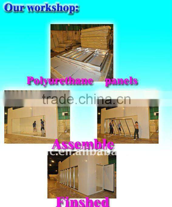 Freezer storage room for meat storage