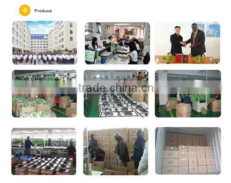 Hot sale automatic dusk to dawn bright led 12pcs solar home light small size with panel indoor emergency use