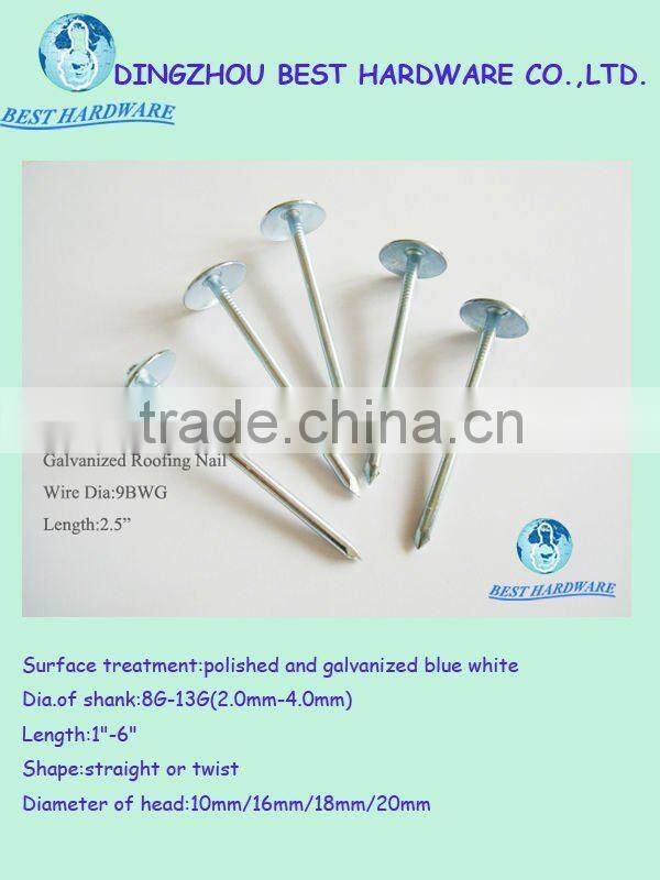 11gauge galvanized roofing nail with umbrella head and washer