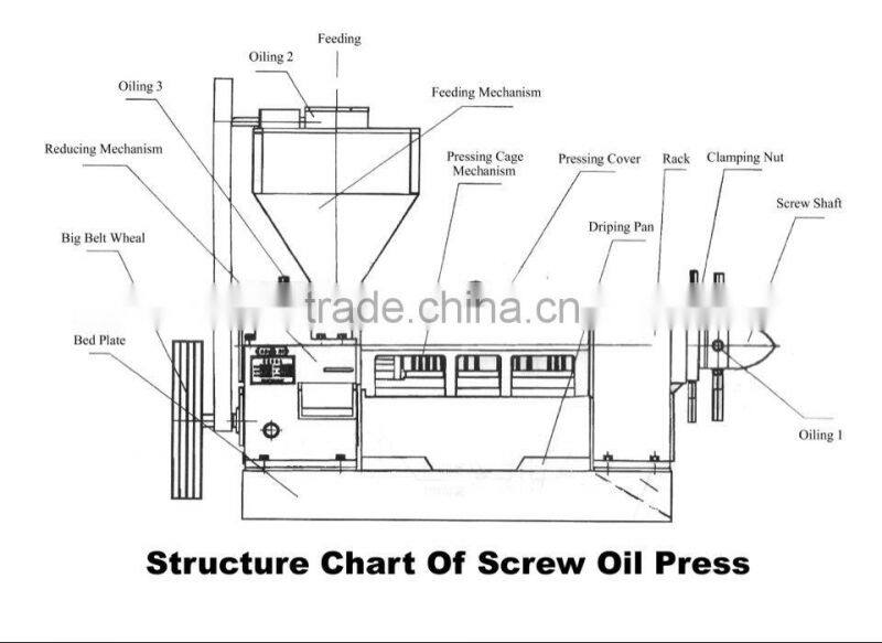 Best Sales Pine Nuts Oil Expeller
