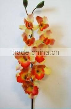 silk orchid