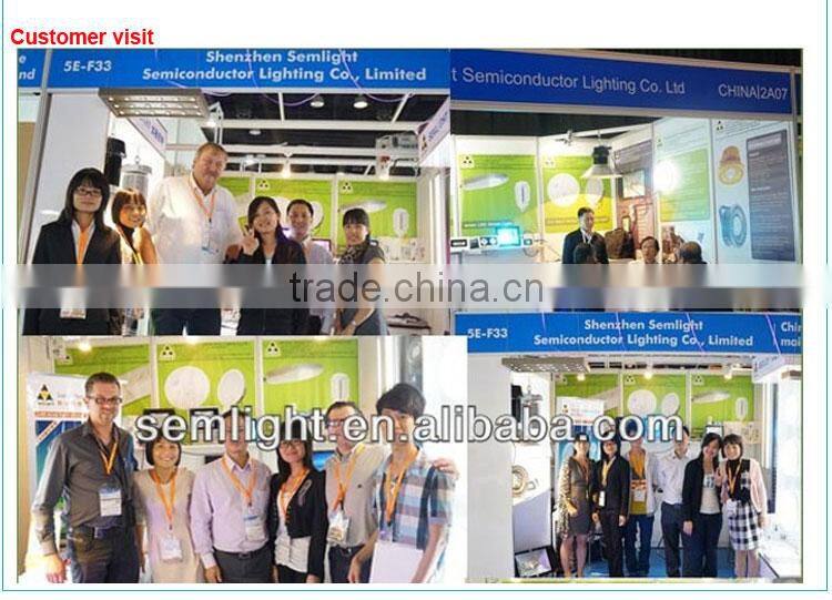 Epistar or Brideglux Chip 100W LED Street Light Price