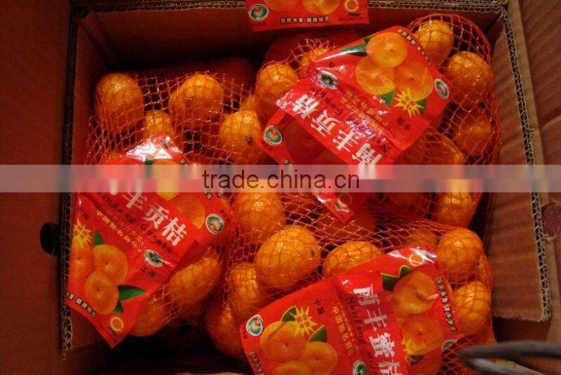 Sweet Nanfeng Baby Mandarin