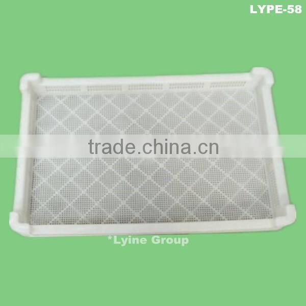 hydroponic green barley,wheat,alfalfa seedlings feed sprouting trays for animal,cattle,sheep,goats