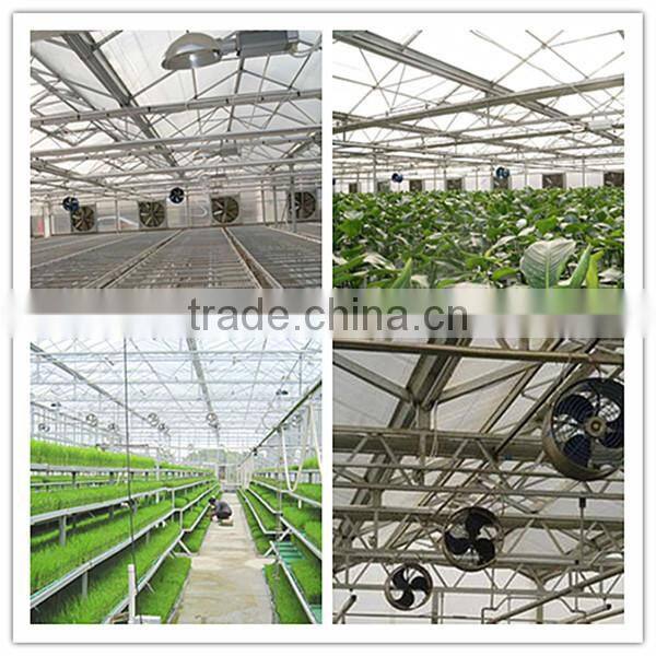 JINLONG china high quality greenhouse air circulation fan