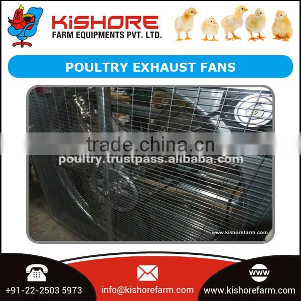 Hot Selling Professional Automatic Poultry Broiler Farm Equipments